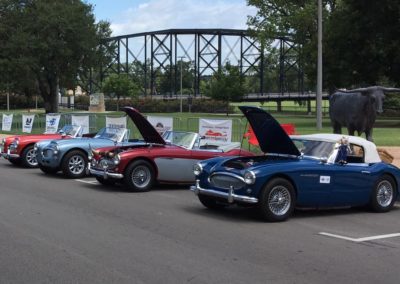 Sport and Specialty - The 2017 Austin-Healey Conclave