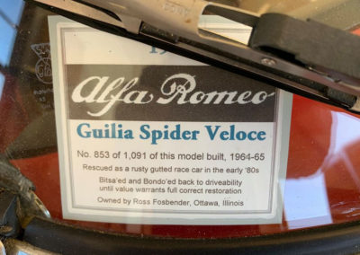 Sport and Specialty - 1965 Alfa Romeo Giulia Spider Veloce
